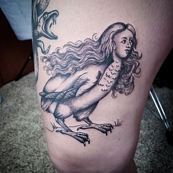 Harpy Tattoo